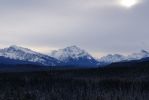 Jasper