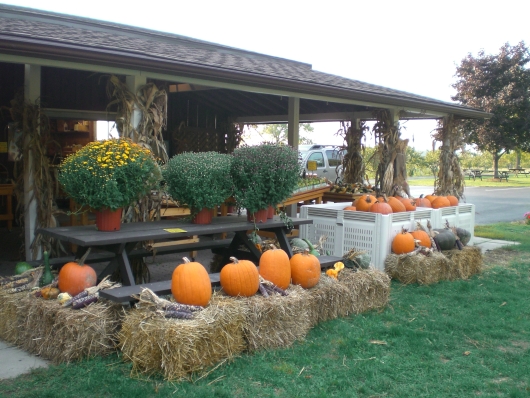 Nach Niagara on the Lake
