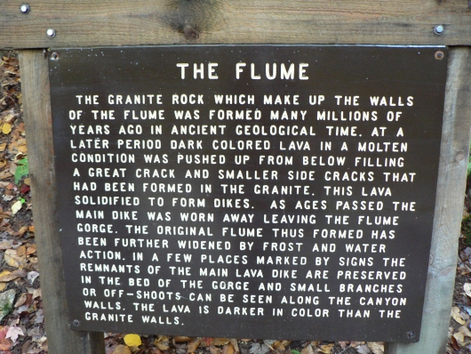The Flume
