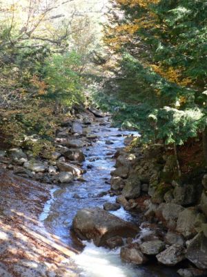 The Flume
