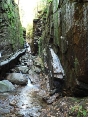 The Flume
