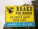 Brake for Moose