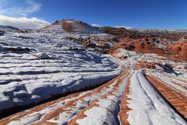 EdmaiersSecret_Snow
