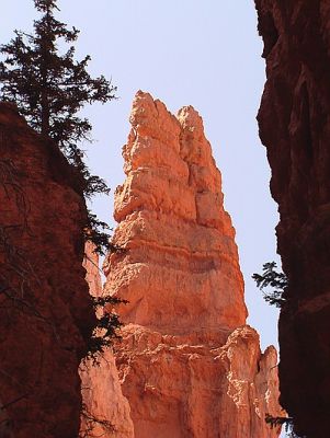 Navajo Trail
