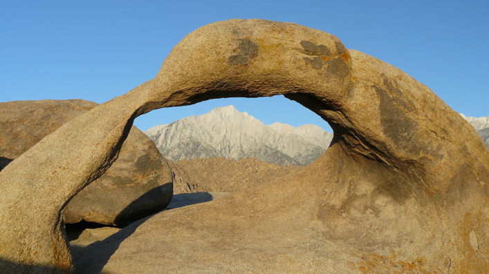 lone pine 1

