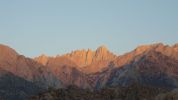 lone pine 3