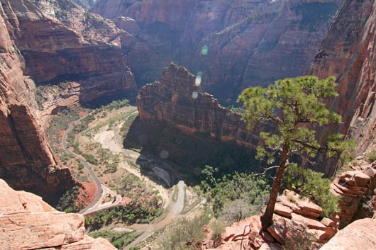 Blick auf den Virgin River
