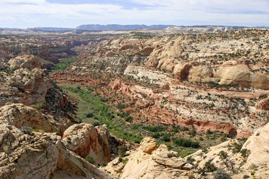 Grand Staircase
