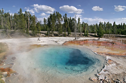 Am Fountain Paint Pot
