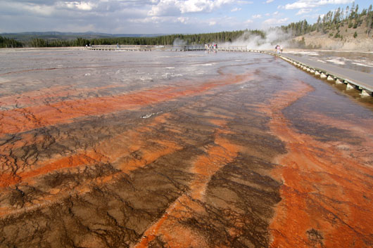 Im Midway Geyser Basin
