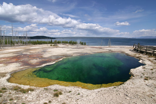 Abyss Pool
