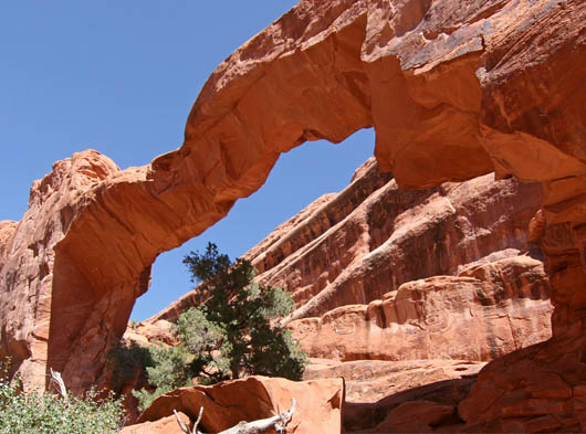 Wall Arch
