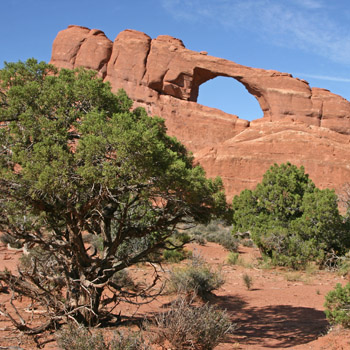 Skyline Arch

