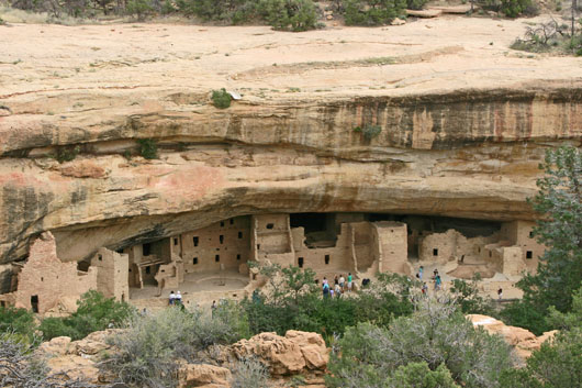 Spruce Tree House
