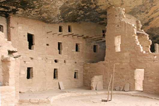 Spruce Tree House
