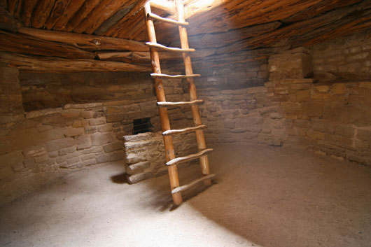 Spruce Tree House

