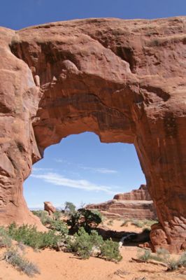 Pine Tree Arch
