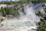 Im Norris Geyser Basin