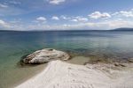 Am Yellowstone Lake