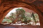 Navajo Arch