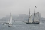 IMG_8521.jpg