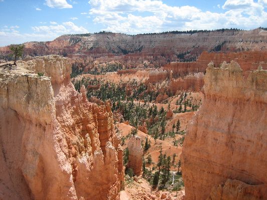 Auf dem Weg zum Sunrisepoint im Bryce Canyon
