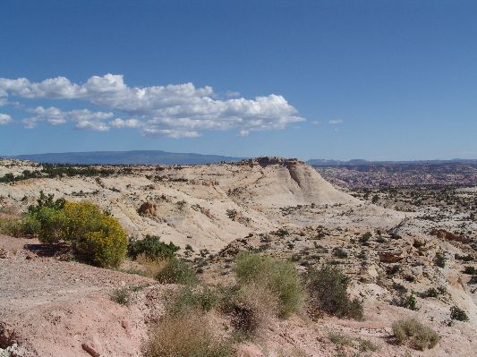 Auf dem Scenic Byway 12
