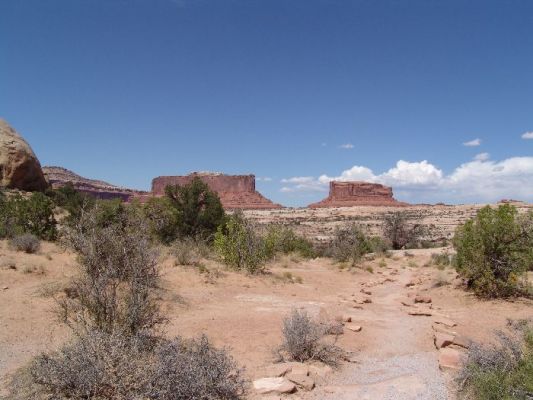 Navajo Sandstone in der Nähe von Moab
