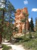 Wanderung im Bryce Canyon