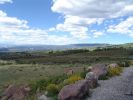 06_Passhoehe_National_Dixie_Forrest.JPG