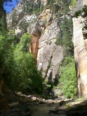 119.jpg