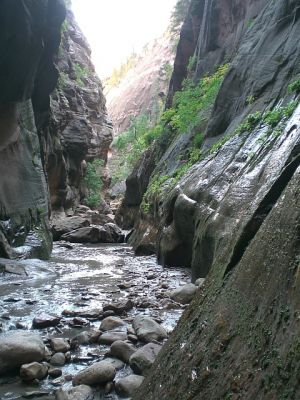 143.jpg