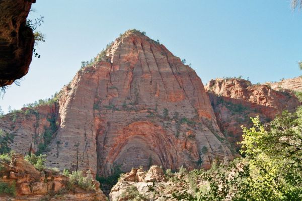 imm001_2.jpg