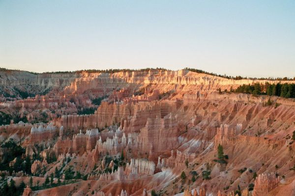 imm006_7.jpg