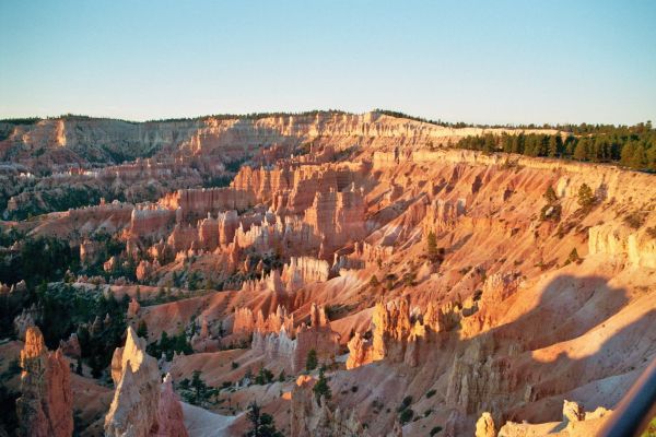 imm009_10.jpg
