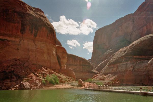 imm013_14.jpg