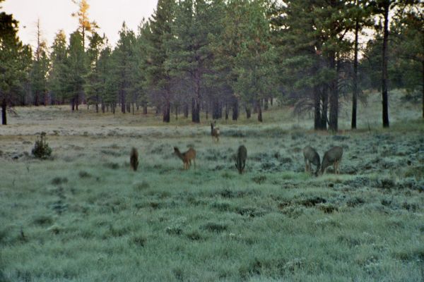 imm014_15.jpg