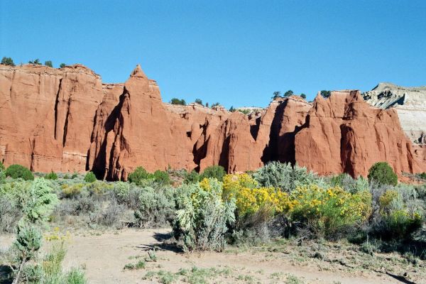 imm018_19.jpg