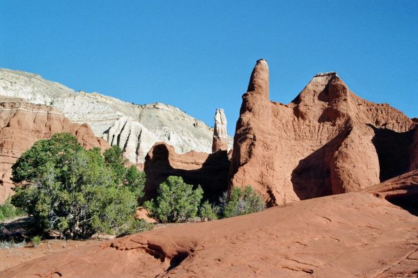 imm021_22.jpg