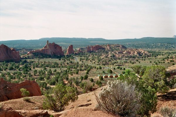 imm036_37.jpg