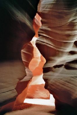 imm028_29.jpg