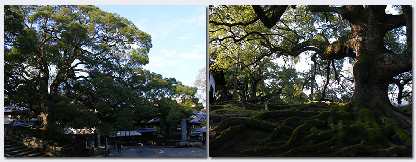 Higashiyama03.jpg
