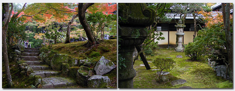 Nara208.jpg