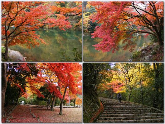 Arashiyama03.jpg