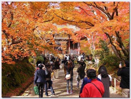 Arashiyama09.jpg