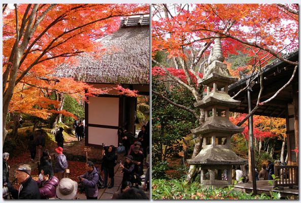 Arashiyama10.jpg