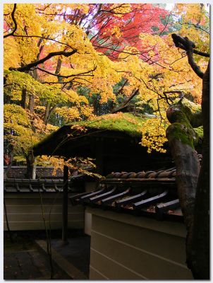 Daitoku04.jpg