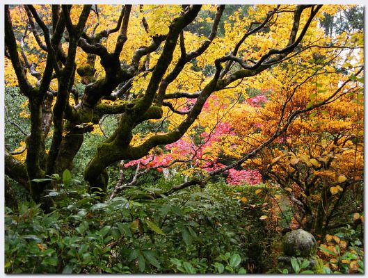 Daitoku07.jpg
