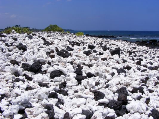 Hawaii1.jpg