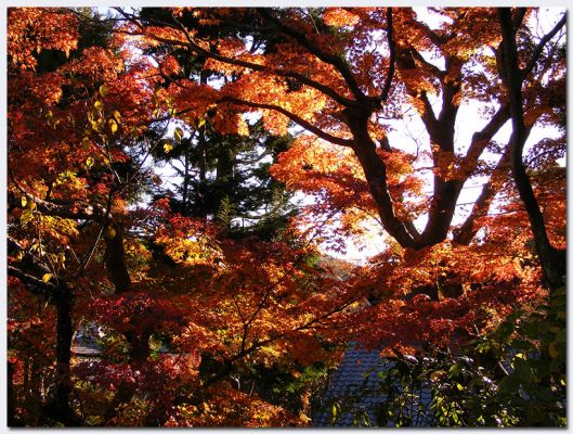 Kamakura08.jpg